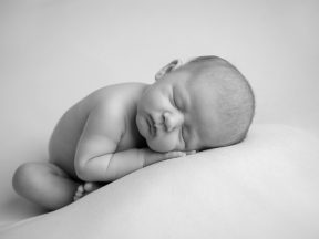 Newborn Sessions